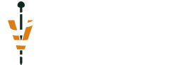 Town and Country Veterinary Hospital Logo